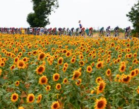 Tour de France 2026 etape 16: forudsigelser til enkeltstarten